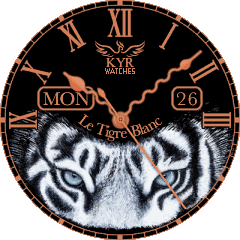 KYR Le Tigre Blanc Haylou Solar Watch Face